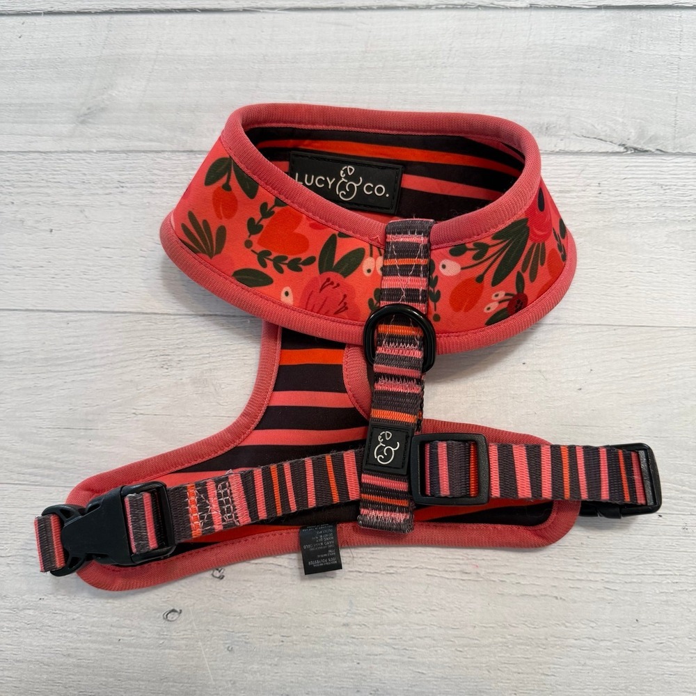Lucy & Co pet reversible floral and stripe pet harness small